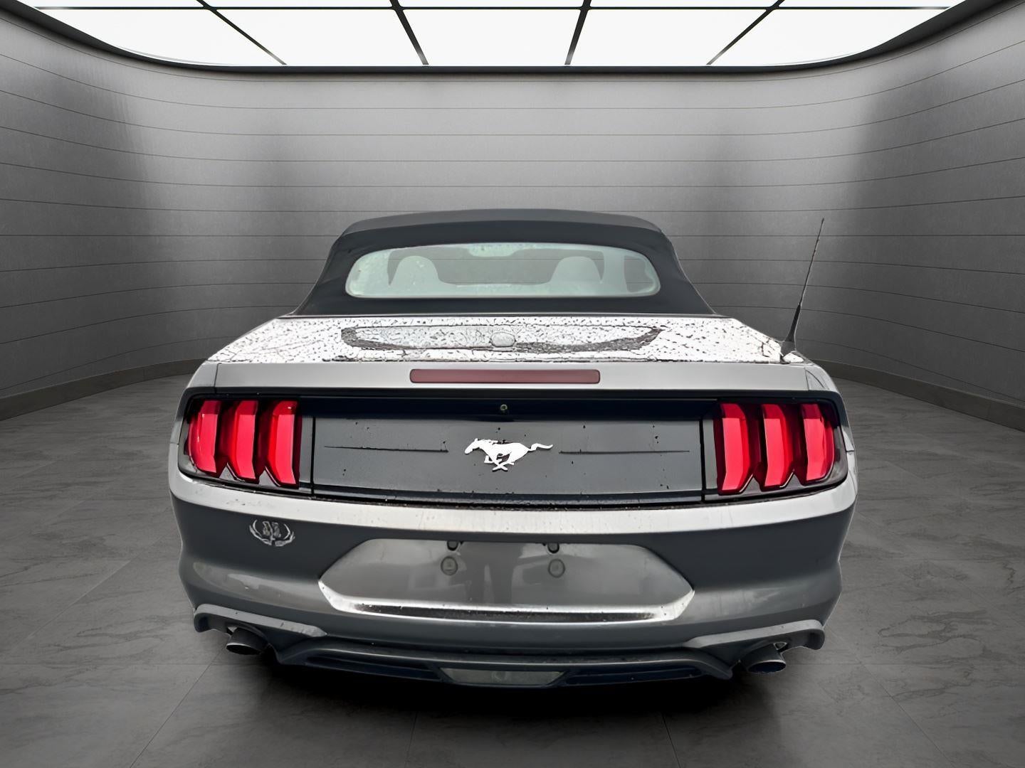 2019 Ford Mustang EcoBoost
